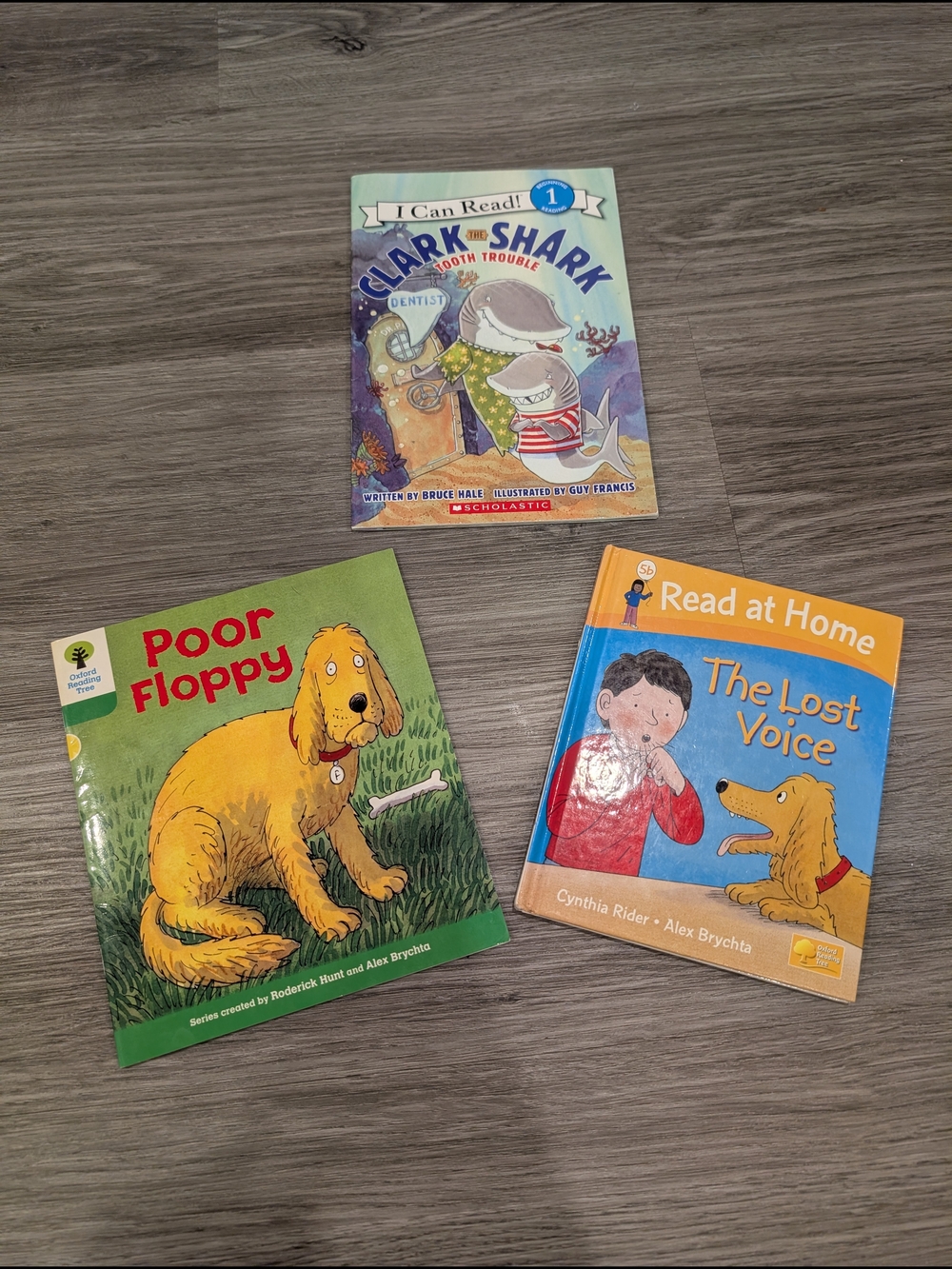 Early Readers 3 Book Bundle